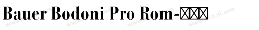 Bauer Bodoni Pro Rom字体转换